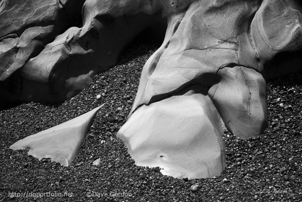 Point Lobos I
