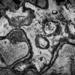 Fine Art abstract black and white photograph by Dave Gordon
