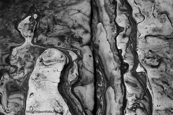 Point Lobos BW photo