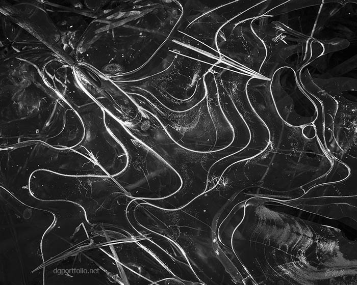 Fine Art black and white abstract photograph by Dave Gordon