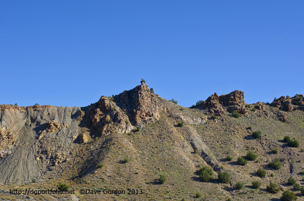 Cerillos New Mexico